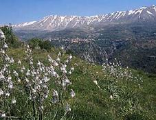 Lebanon's Natural Beauty